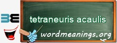 WordMeaning blackboard for tetraneuris acaulis